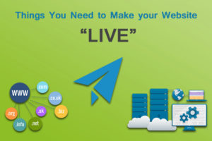 we provide best web designing trainning in delhi