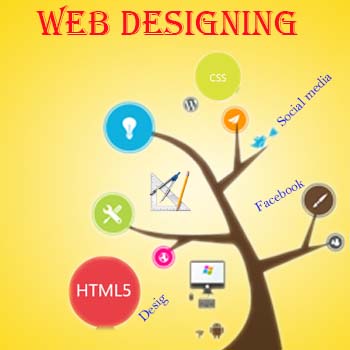 Website design course in delhi