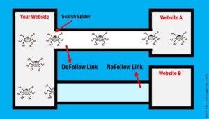 Nofollow vs Follow links: everything you need to know