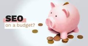 How Small Businesses Can Do SEO on a little Budget?