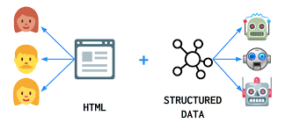 Essential Structured Data Types That Your Website Needs to Do